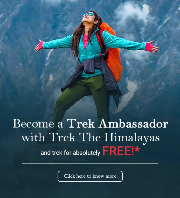 Trek Ambassador